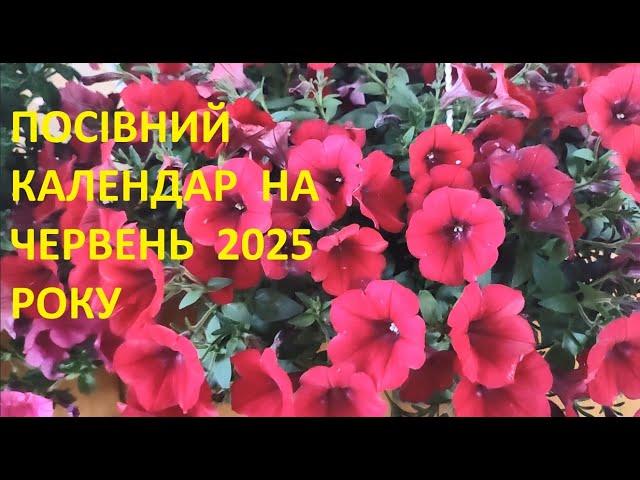 ПОСІВНИЙ КАЛЕНДАР НА ЧЕРВЕНЬ  2025 РОКУ