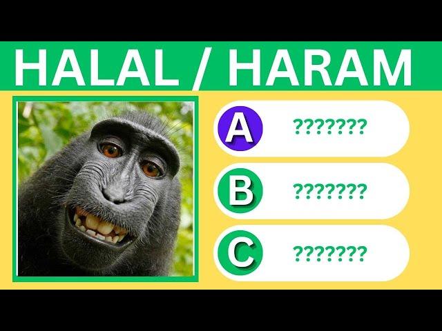 Islamic Quiz  | Haram or Halal Animals To Eat?  |  (no music)