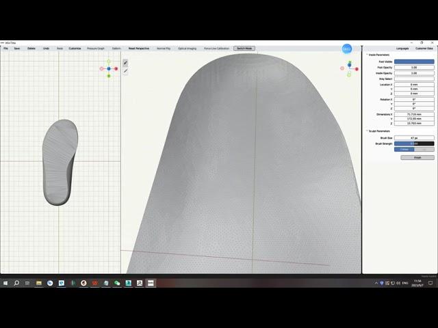 IDEAL INTELLIGENT INSOLE DESIGN SYSTEM