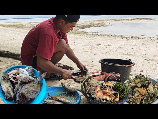 Pulau Angker Alamnya kaya Nombak Ikan buat makan siang di pantai #part1