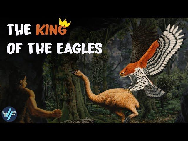 Haast's Eagle - The King of All Eagles