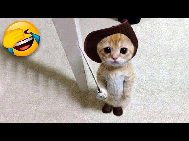 Funniest Cats and Dogs  | Funny Animal Videos #9