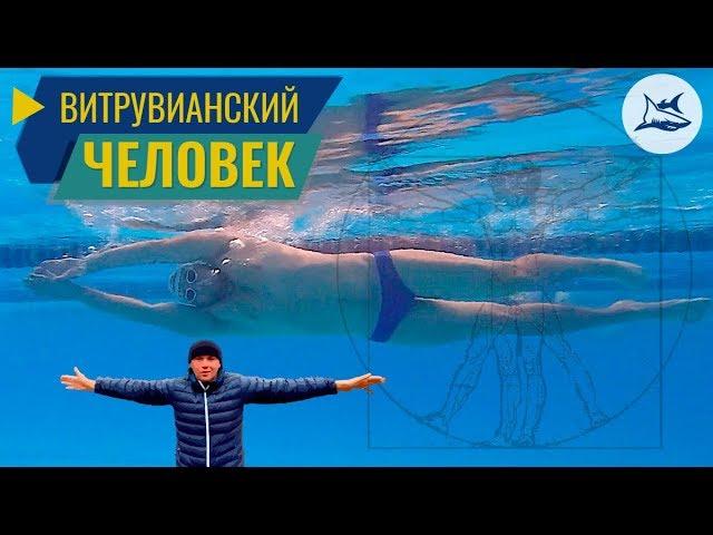 Как улучшить технику плавания кролем. Витрувианский человек