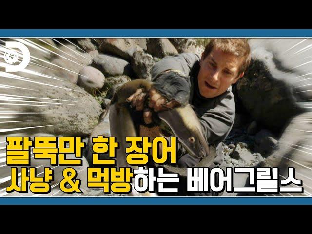 베어형 먹방에 카메라맨 실력이면... 뭐! 이거 완전히 살아있는데~ [Man VS Wild]