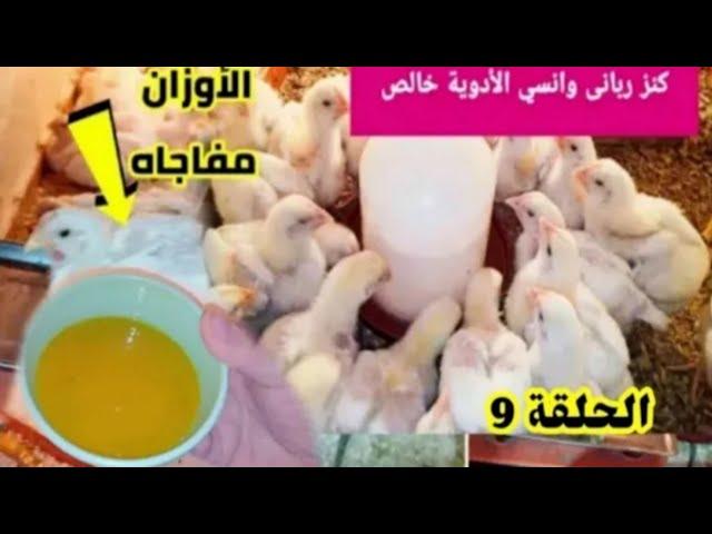 المشروب الجبار يساوى 5 كيلو وزن فى الشهر بدون اى تكاليف هتوفرعليكي نصف الدورةواوزان رهيبة