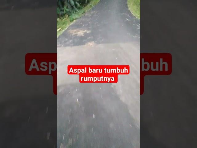 VIRAL ASPAL BARU LANGSUNG JEBOL RUMPUTNYA