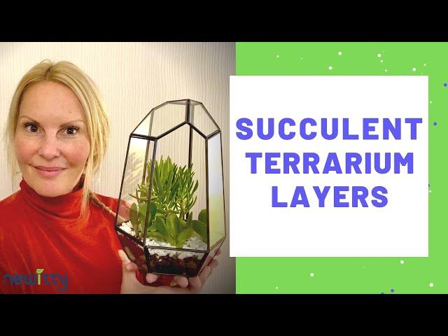 How to layer a succulent terrarium with MOODY BLOOMS