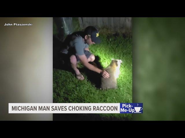 Michigan man saves choking raccoon