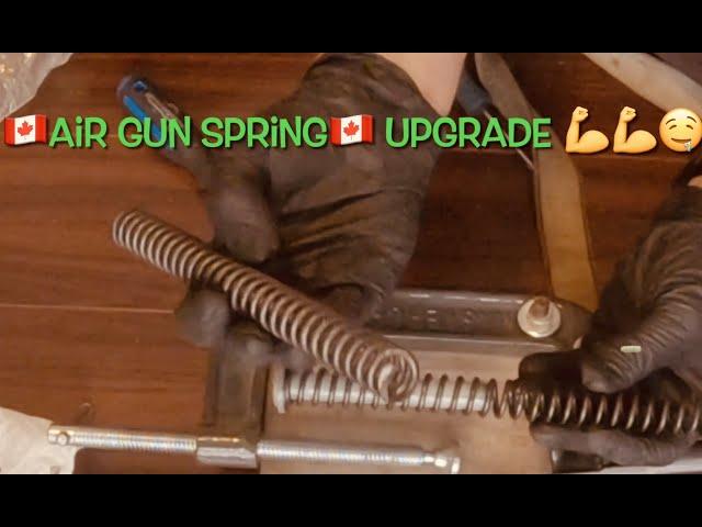 Air Gun Spring Upgrade! the quest for FPS!