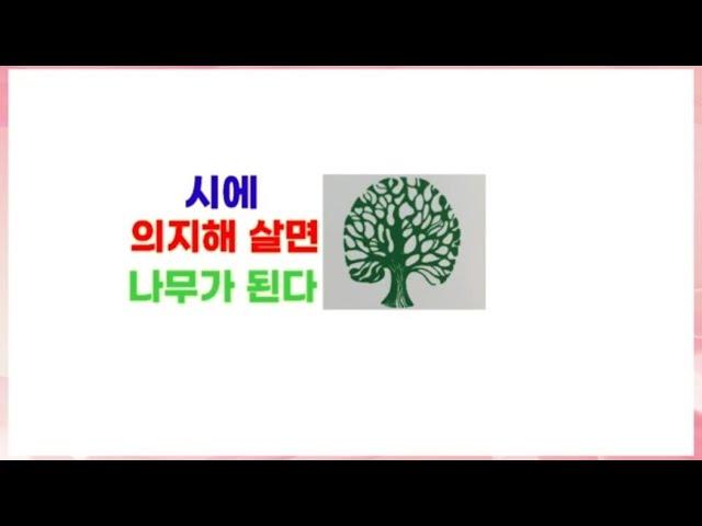 시나무.황충상소설가].시낭송전시우TV[본명:전상무].명시.좋은시.애송시. 고은하.봉경미.한국인이좋아하는명시.시에의지하면 .나무된다