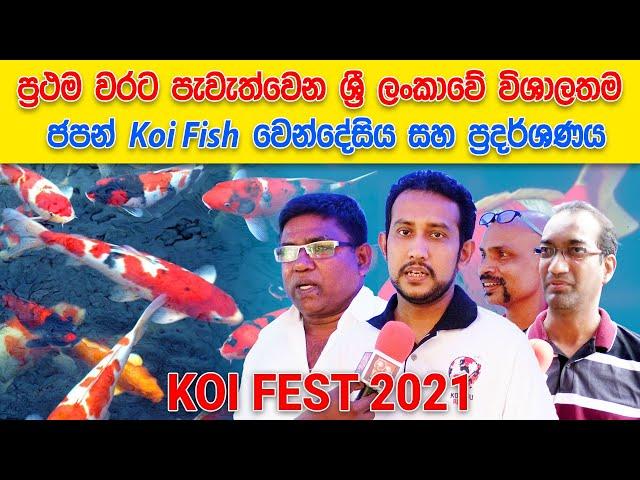 Sri Lanka's Biggest & First Japanese Koi Exhibition & Auction | Koi Fest 2021
