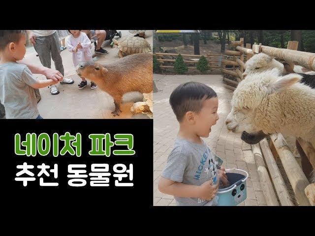 대구 네이처파크  강추하는 동물원  추천 가족 나들이 코스  추천 데이트 코스  Enjoyable and pleasant zoo