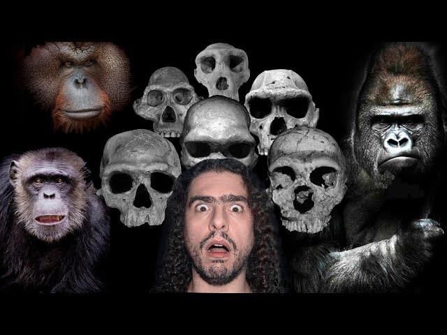 Evolução e dispersão dos HOMINÍDEOS (Parte 1: origem das espécies) (#Pirula 338.1)