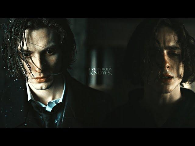 Sirius & Regulus || Everybody Knows