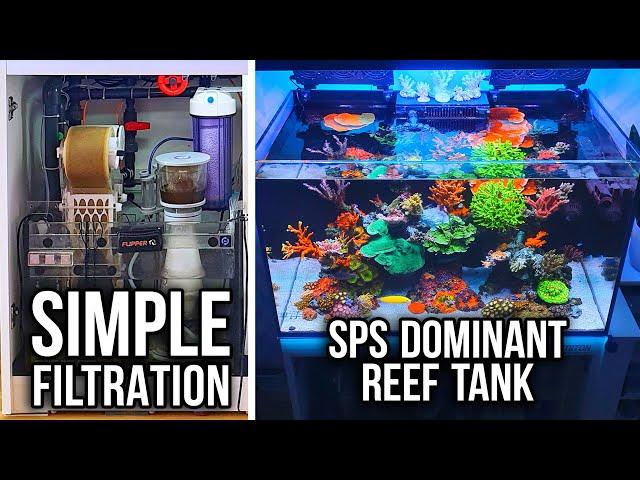 What's in my Sump? - SPS REEF TANK