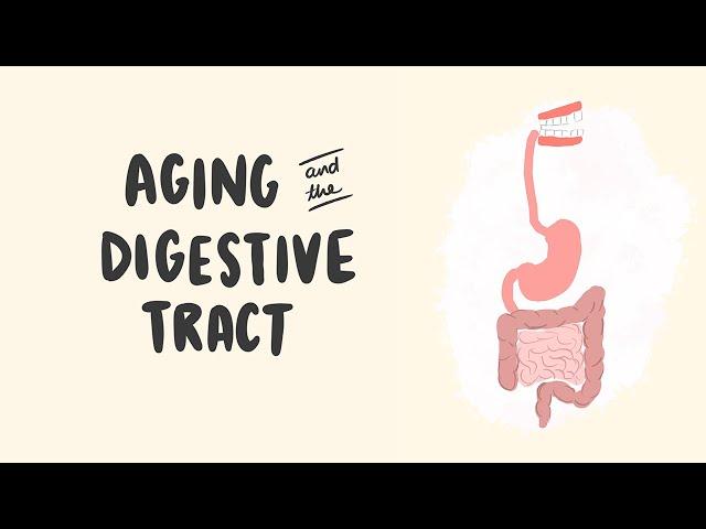 Aging and the Digestive Tract | Important Information for Seniors | GI Society