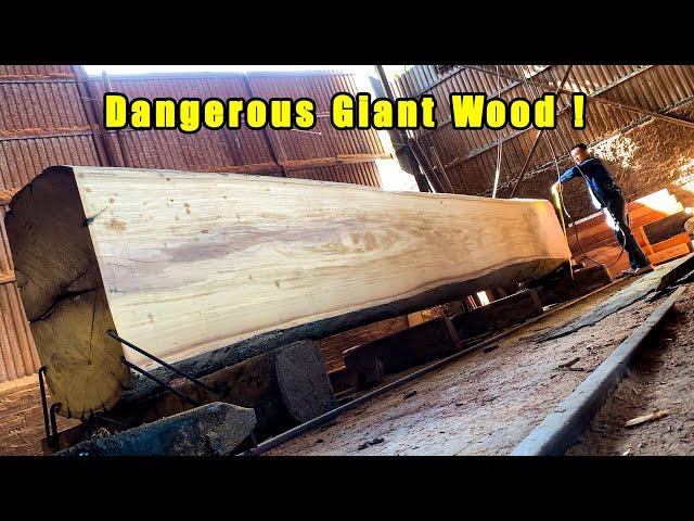 Excellent Modern Automatic Wood Saw | 1000-Year-Old Giant Wood, Outstanding Machine Operating Skills