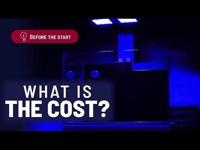 006 - What is the Cost of Keeping a Marine Aquarium + FREE Download ⏬ |S0 E4 | Reefpedia