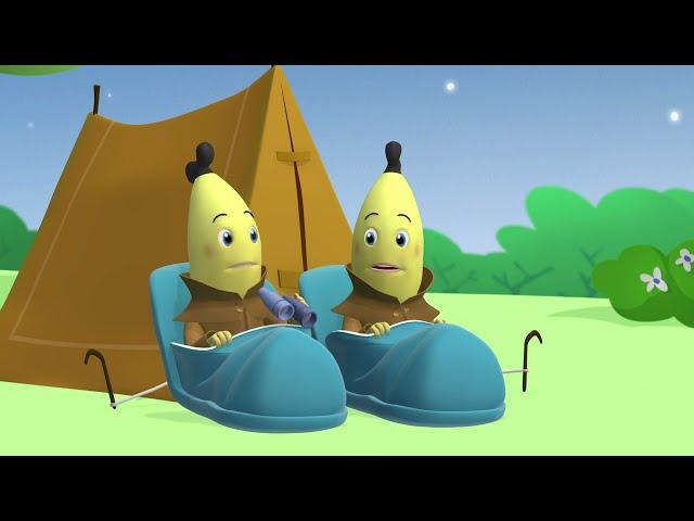 Detective Bananas Go Camping! | Bananas in Pyjamas Season 2 | Full Episodes | Bananas In Pyjamas