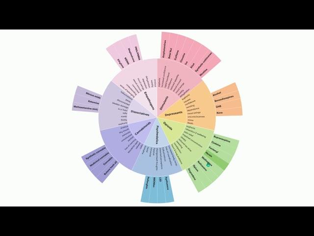 Exploring the Drug Wheel