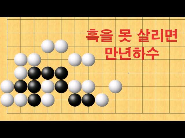 바둑 묘수 사활 - 흑을 못 살리면 만년하수 입니다