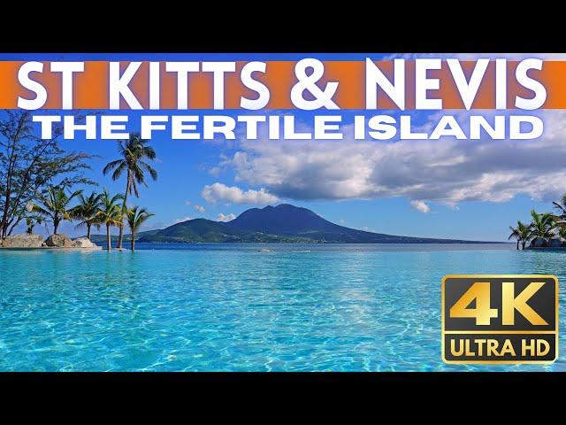 St Kitts & Nevis TRAVEL GUIDE 2024 4K