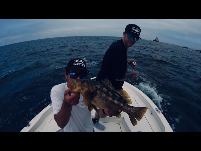 Fishing Catalina With Coastal Charters