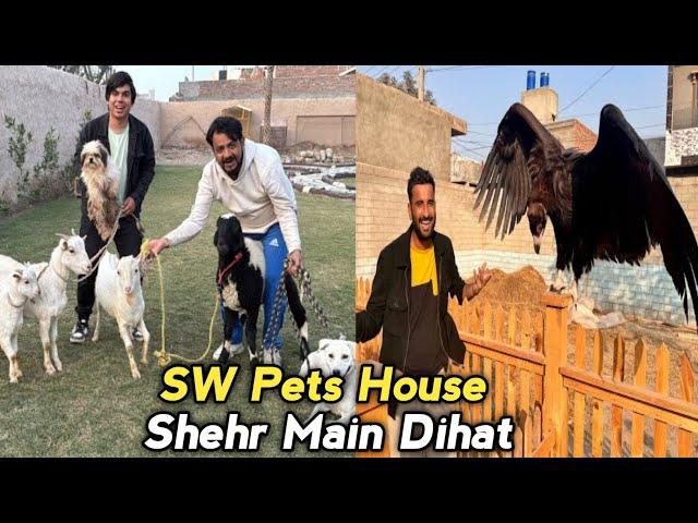 "SW Pets House Aur Shehr Main Dihat Ke New Zoo Ka Raaz!  Raja Gidh Ka Ghar"