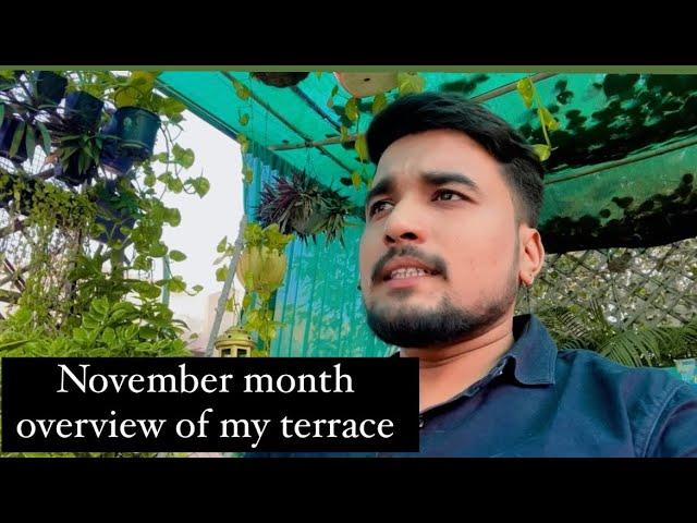 November month overview of my terrace garden/ winter garden preparation.