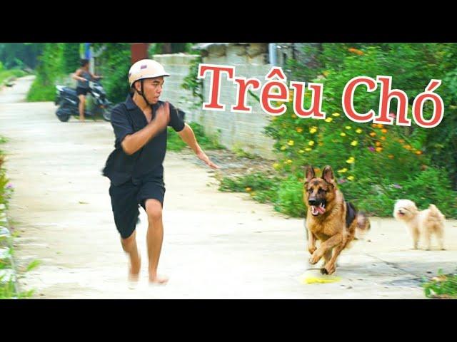 Thử Thách Trêu Chó Và Cái Kết - Nguyễn Chí Thanh.