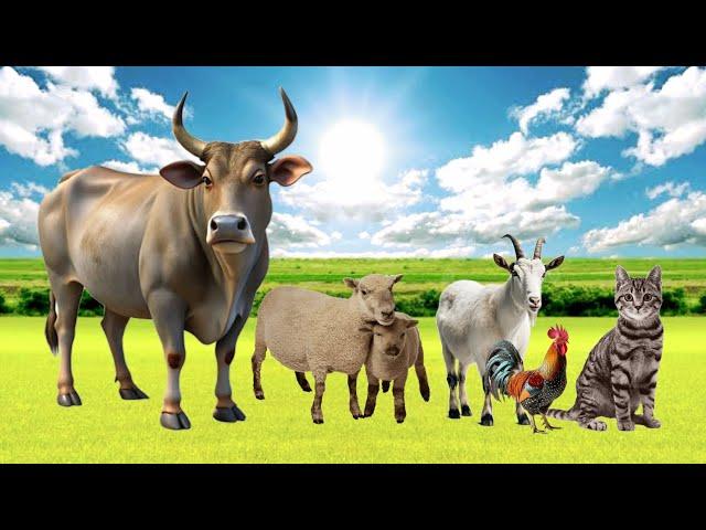 Bustling Animal World Sounds Around us: cow, chicken, goat, sheep, cat