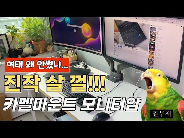 역체감 미쳤네... 모니터 암 제발 쓰세요!! 카멜마운트 듀얼 모니터암 DMADSS