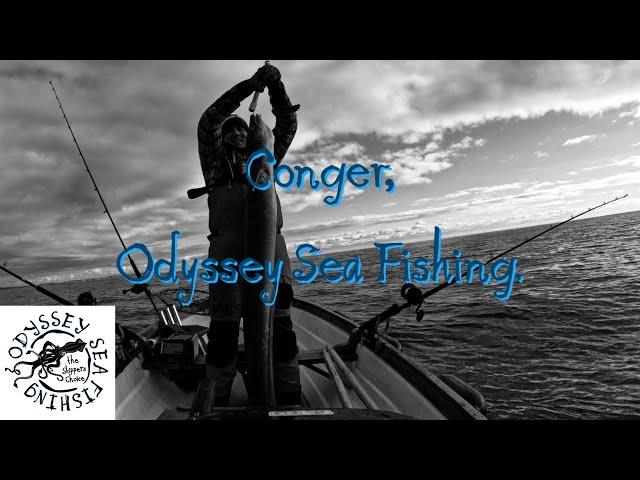 Conger | Odyssey Sea Fishing UK.