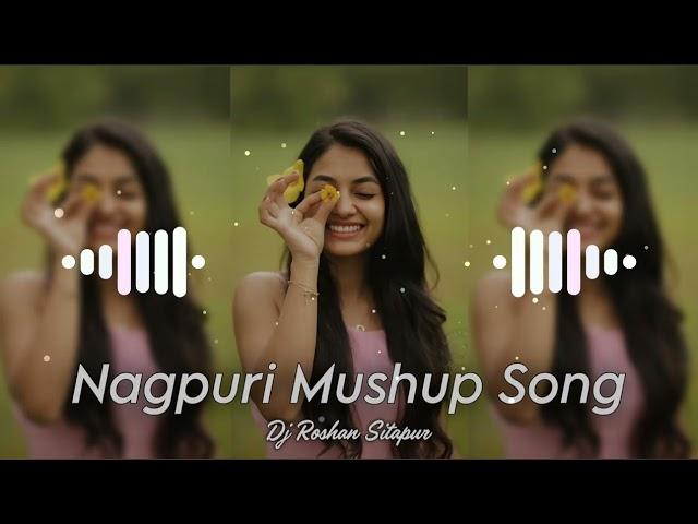 Dj Roshan Sitapur - New Nagpuri Mushup Song 2024