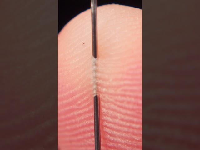 Syringe and finger #asmr #macro #macro_object