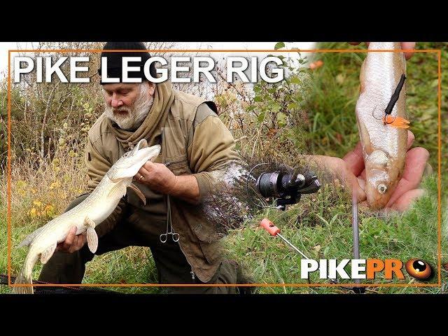 Pike Fishing : Leger Tactics