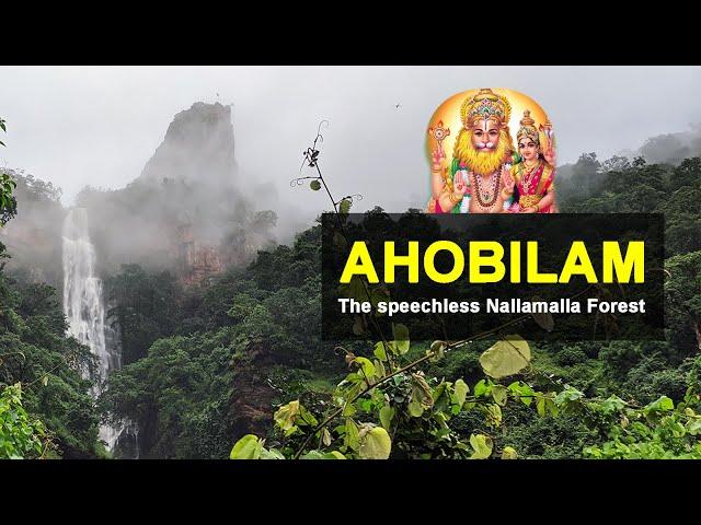 Ahobilam - The Unseen Beauty of Nallamalla Forest | Ugra Stambha | Nallamalla Forest