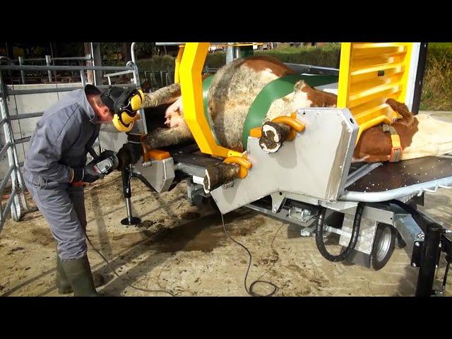 Farmers use amazing agricultural machines