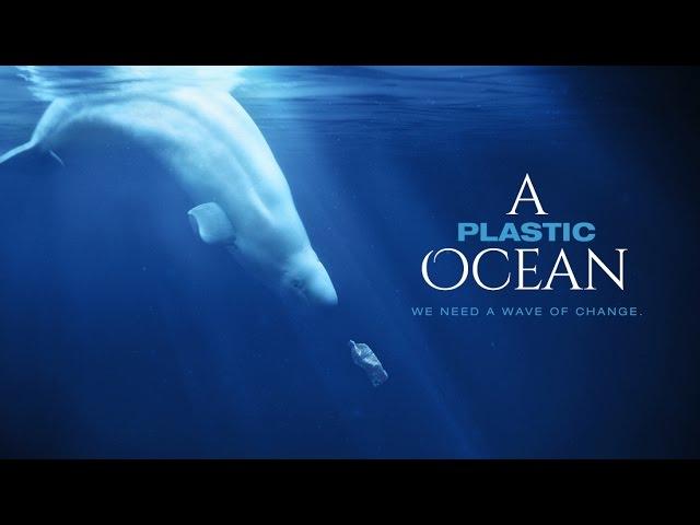 A Plastic Ocean Official Trailer