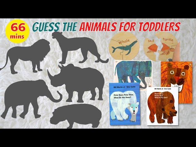 Animal Names and Sounds | Brown Bear Brown Bear What Do You See | Wild and Safari Animals