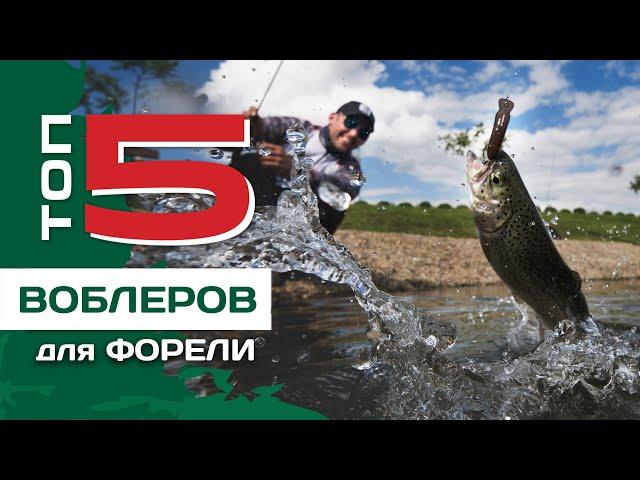 ТОП 5 воблеров на форель от Федора Булько. Приманки для ареа ловли