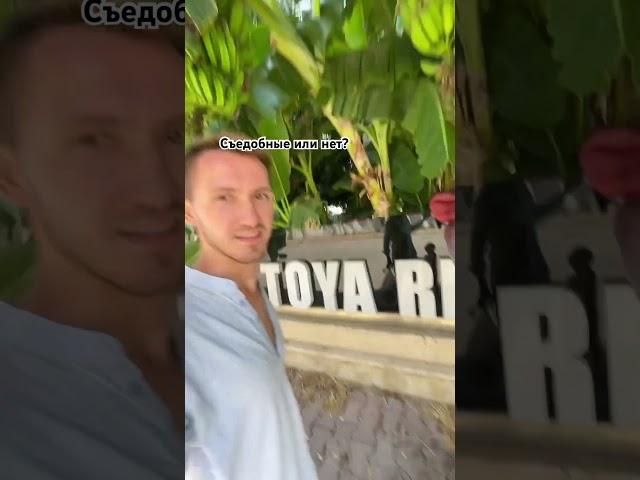 Как растут бананы в Турции