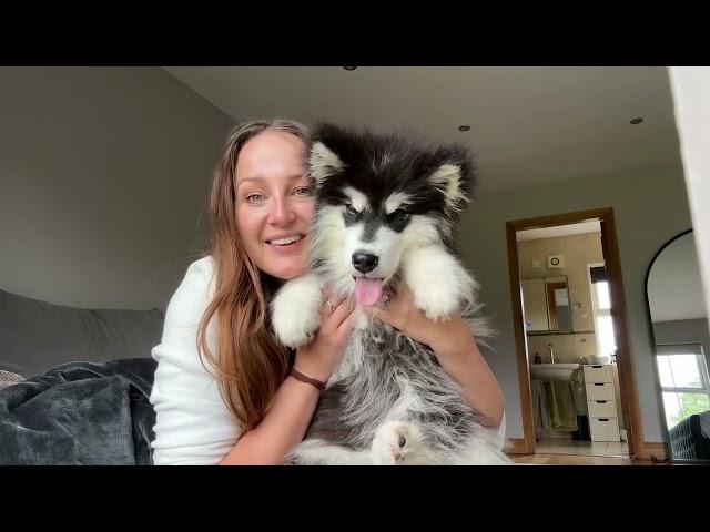 Saying Goodbye To Our Puppy! (So Hard!!)