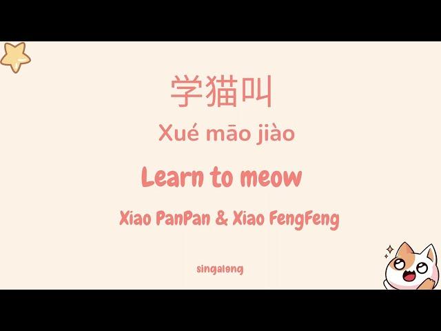 [Meow meow song] Learn to Meow《学猫叫-Xué māo jiào》- Xiao PanPan & Xiao FengFeng