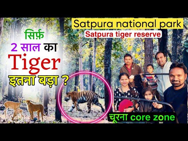 Satpura tiger reserve॥churna core zone॥national park॥jungle safari