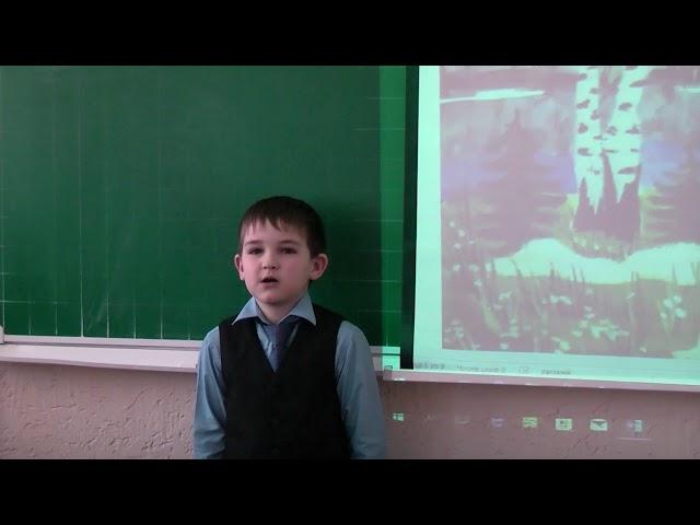 Страна читающая — Дмитрий Донцов читает произведение «Весна и ручей» В. В. Ланцетти