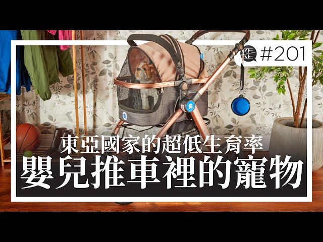 東亞國家的超低生育率：嬰兒推車裡的寵物 。EP201