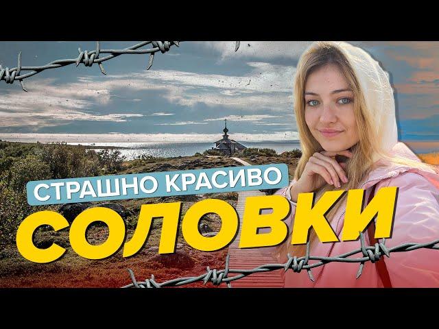 СОЛОВКИ | Сколько стоит попасть на острова? | Таня Мотаня