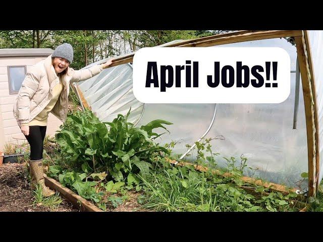 Spring Allotment Day: Planting Peas, Potatoes, and Battling Polytunnel Weeds | Allotment Tour