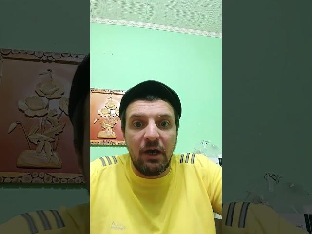 СМЕШНОЙ АНЕКДОТ ПРО БЫКА И ГАИШНИКА!